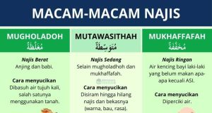 macam-macam najis