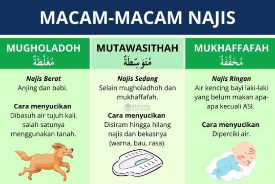 macam-macam najis