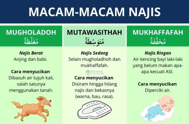 macam-macam najis