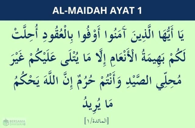 surat al maidah ayat 1 surat al maidah ayat 1