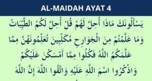 surat al maidah ayat 4