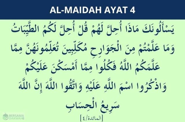 surat al maidah ayat 4