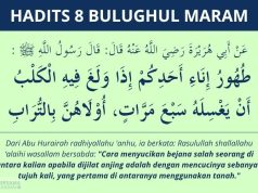 Hadits najis anjing - bulughul maram 8