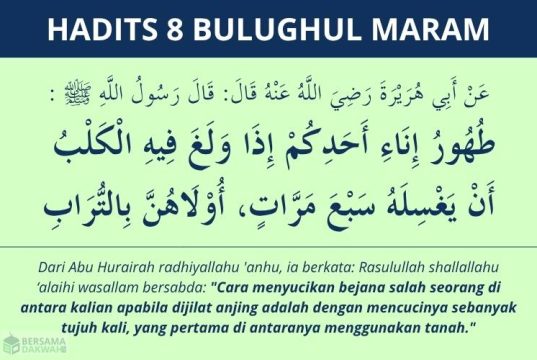 Hadits najis anjing - bulughul maram 8