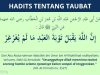 Ayat dan Hadits tentang Taubat hadits tentang taubat