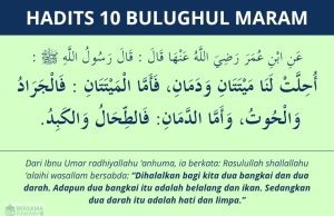 Hadits Bangkai dan Darah yang Halal Dimakan | Bulughul Maram #10 Hadits 2 bangkai dan 2 darah yang halal dimakan