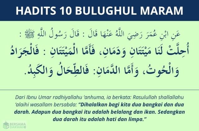 Hadits 2 bangkai dan 2 darah yang halal dimakan