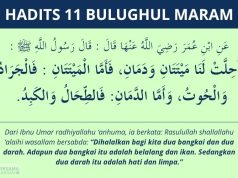 hadits bangkai dan darah yang halal