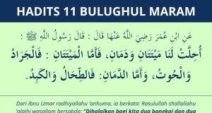 hadits bangkai dan darah yang halal