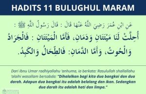hadits bangkai dan darah yang halal