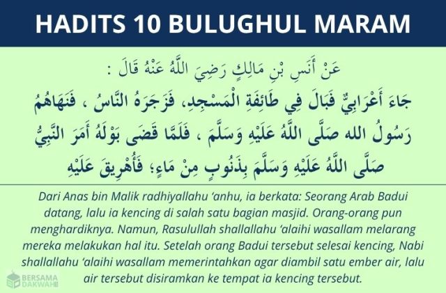 Hadits badui kecing di masjid bulughul maram #10 Hadits badui kecing di masjid - bulughul maram #10