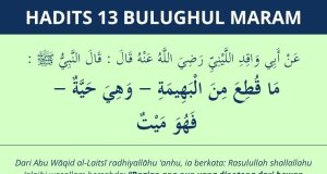 hadits apa yang dipotong dari hewan hidup adalah bangkai - bulughul maram #13