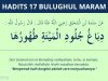 hadits cara menyucikan kulit bangkai - bulughul maram 17