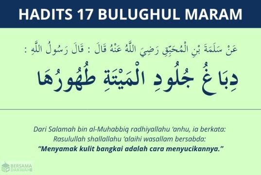 hadits cara menyucikan kulit bangkai - bulughul maram 17