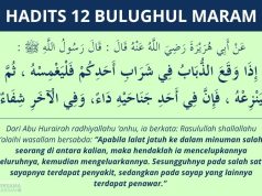 hadits lalat masuk minuman - bulughul maram #12