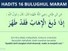 hadits tentang menyamak kulit - bulughul maram 16