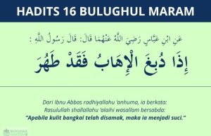 hadits tentang menyamak kulit - bulughul maram 16