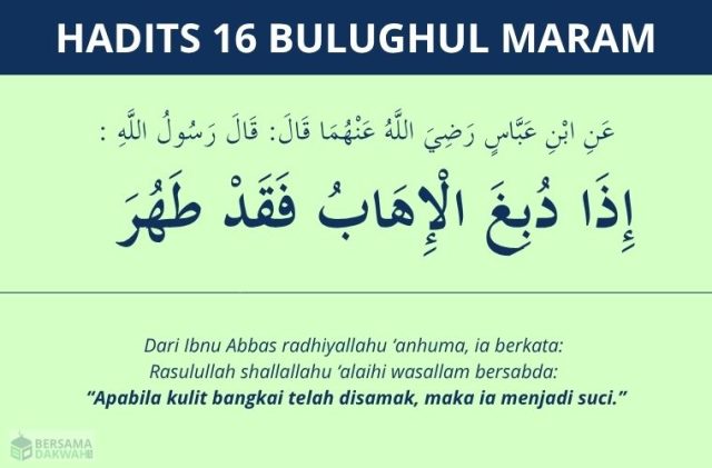 hadits tentang menyamak kulit - bulughul maram 16
