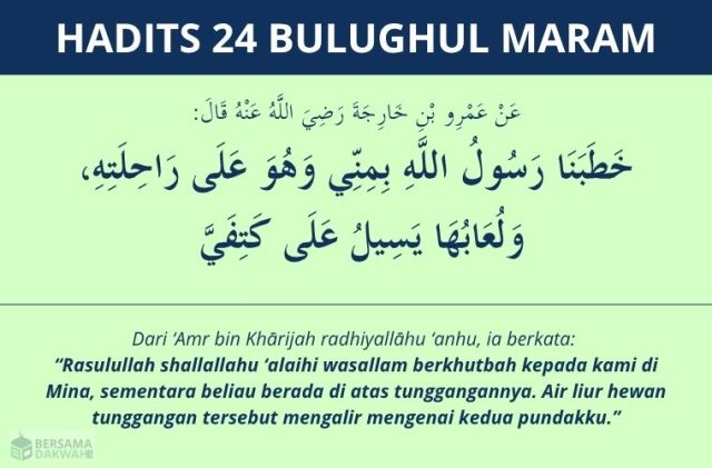 hadits air liur hewan - bulughul maram 24