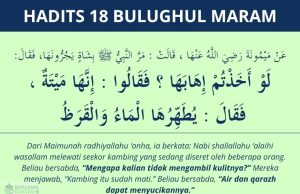 hadits cara menyamak kulit bangkai - bulughul maram 18