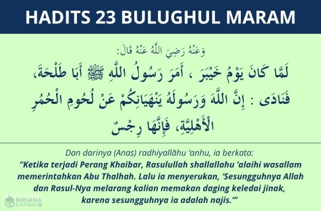 hadits larangan makan daging keledai jinak - bulughul maram 23 hadits larangan makan daging keledai jinak - bulughul maram 23