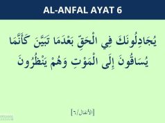 Surat Al-Anfal Ayat 6: Arti per Kata dan Tafsir surat al-anfal ayat 6